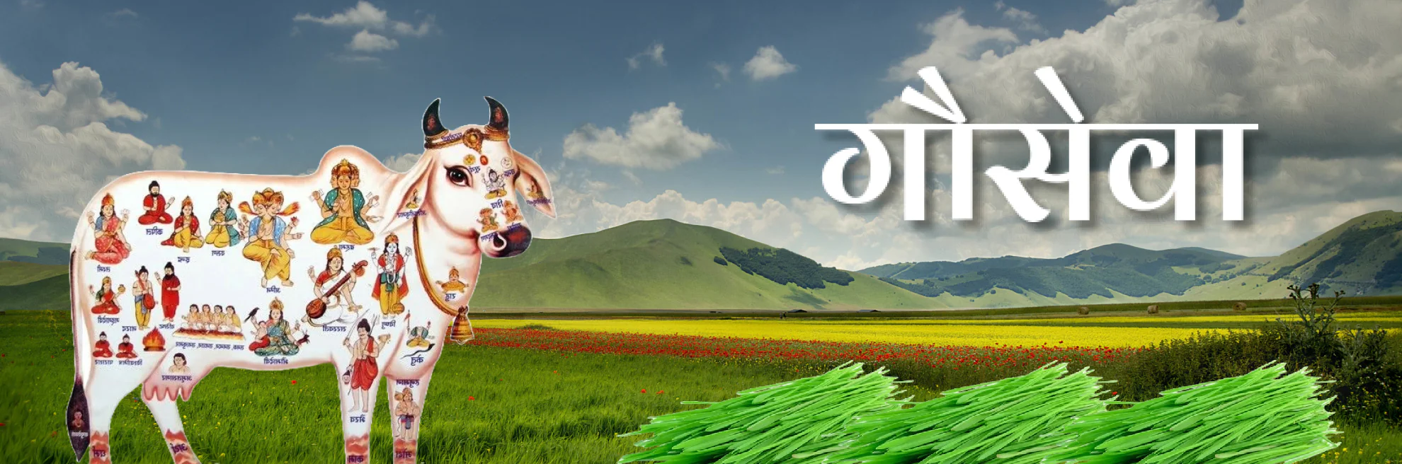 Cow Hospital Medicine Kit